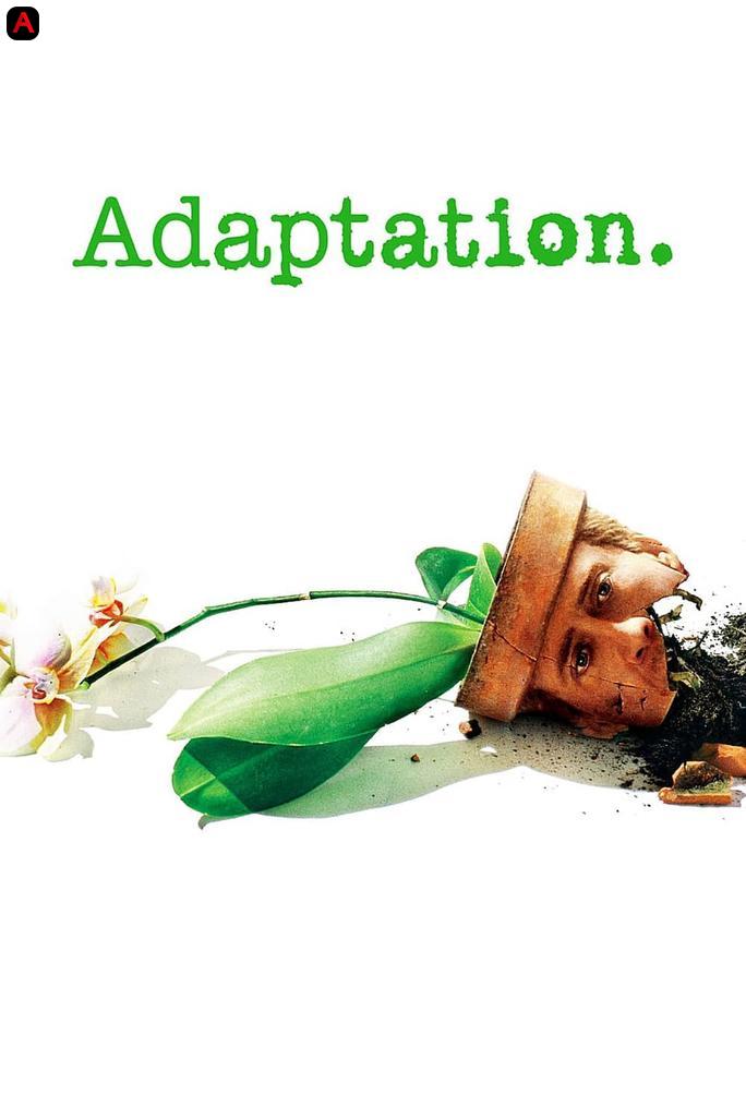 Adaptation