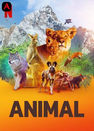 Animal (Season 1)