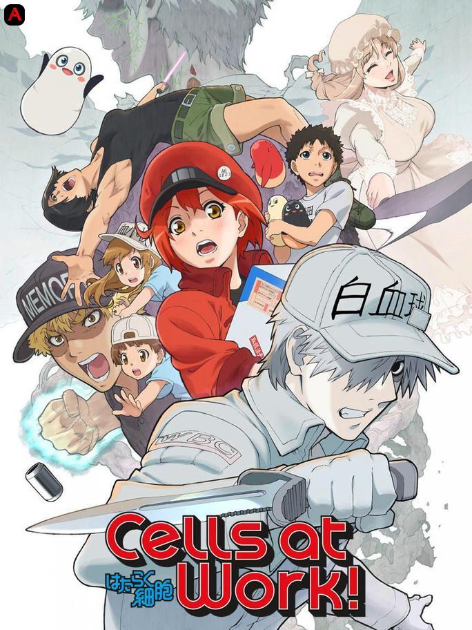 Cells at Work!