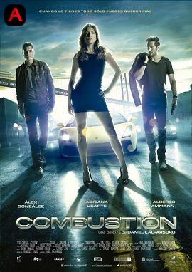 Combustion(2013)