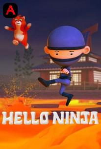 Hello Ninja (Season 2)