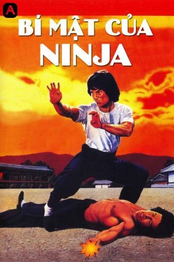 Ninja Knight 2: Roaring Tiger