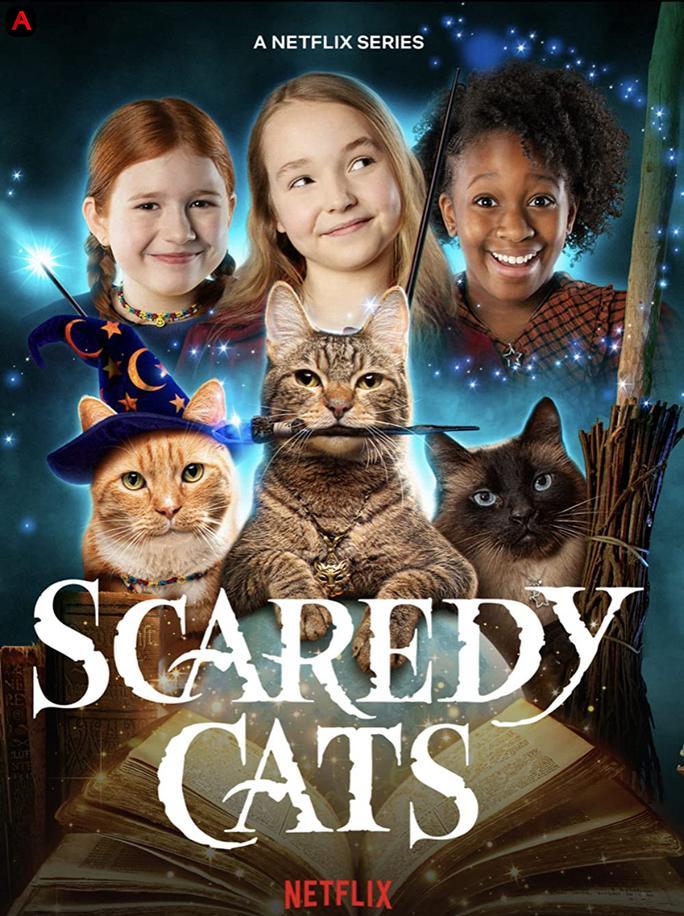 Scaredy Cats