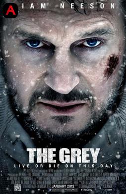 The Grey