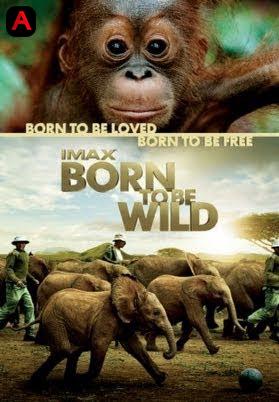 Born To Be Wild